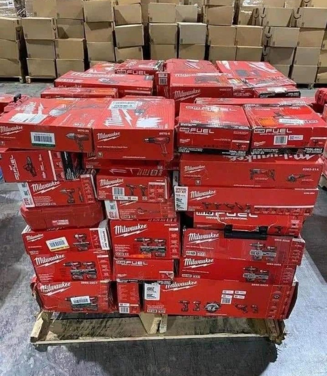 WhatsApp-Image-2023-01-20-at-01.06.07-1