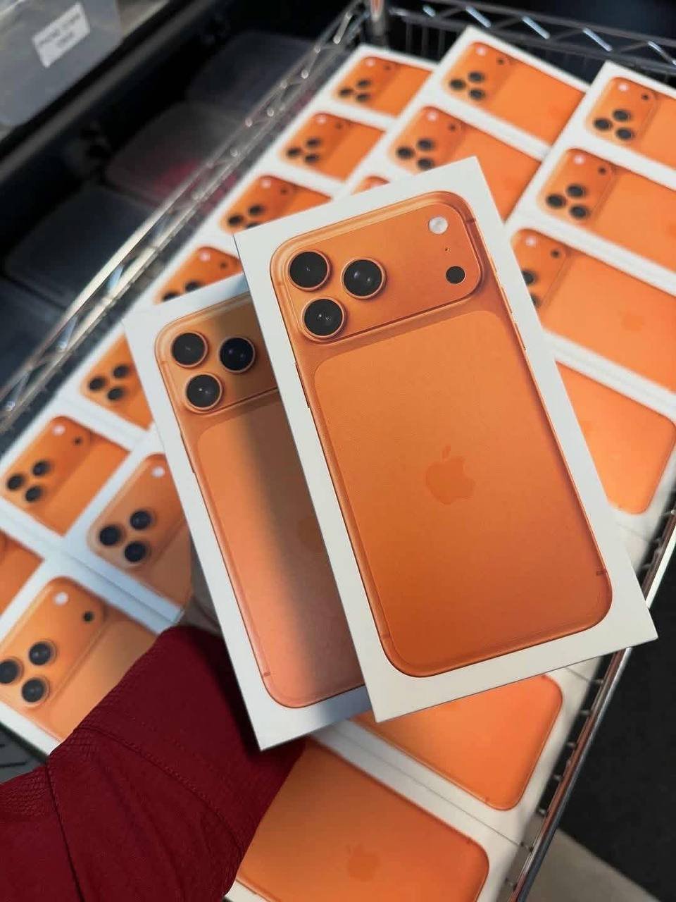 photo_2025-12-21_18-57-58